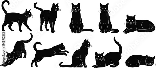 Cat silhouette collection, feline posture outline, animal figure design, whisker icon illustration, pet motif art, domestic nature graphic