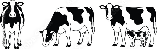 Black-and-white cartoon cows illustration showing standing cow, grazing cow, and mother cow with nursing calf perfect for children’s educational materials, farm-themed activities, and coloring pages