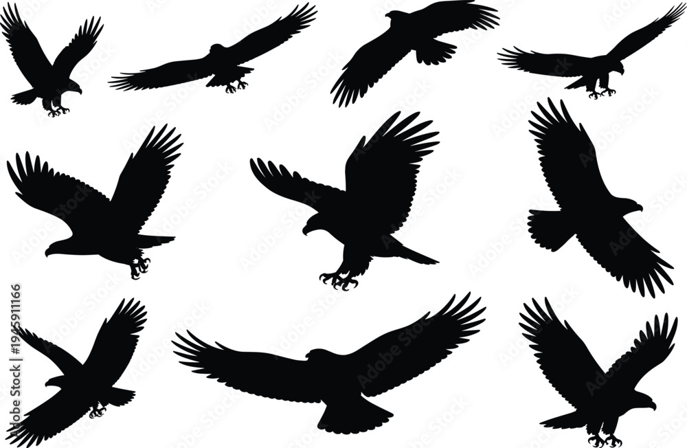 Naklejka premium Eagle silhouette set featuring predatory birds in flight hunting and soaring for wildlife nature design cad drawing flat vector illustration
