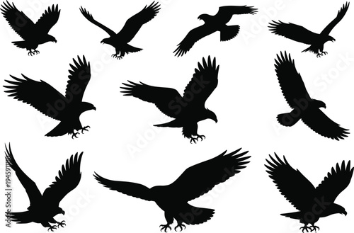 Eagle silhouette set featuring predatory birds in flight hunting and soaring for wildlife nature design cad drawing flat vector illustration