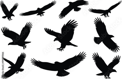 Eagle silhouette set featuring predatory birds in flight hunting and soaring for wildlife nature design cad drawing flat vector illustration