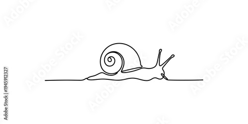 A minimalist continuous line drawing of a snail with a spiral shell, crawling on a flat surface Vector, illustration