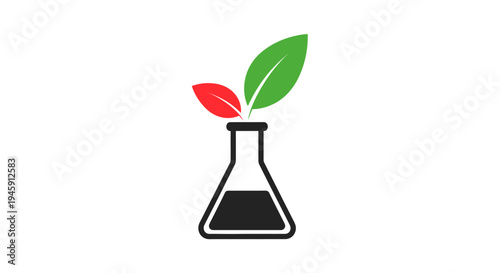 Plant growing in a beaker.