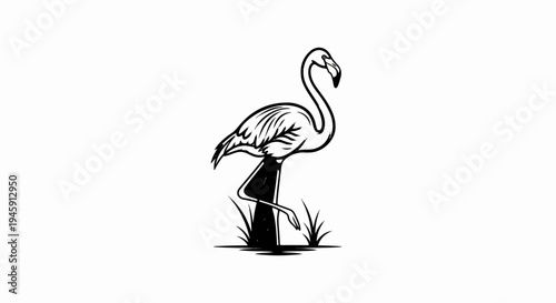Elegant flamingo with curved neck and single leg standing in grass