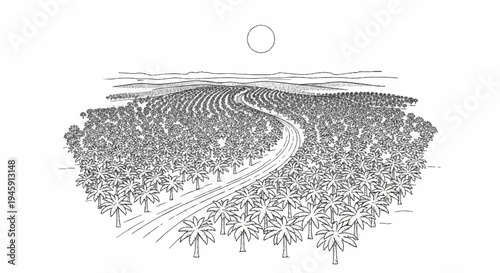 Expansive tropical plantation stretches towards distant hills under a barren sun