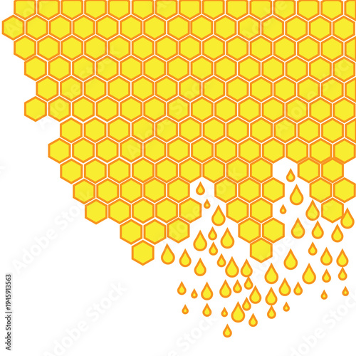 perfect hexagonal honeycomb cells