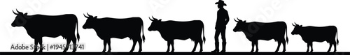 Farmer with cattle herd silhouette, rural livestock farming scene, cow line walking with rancher, agriculture concept, black vector illustration