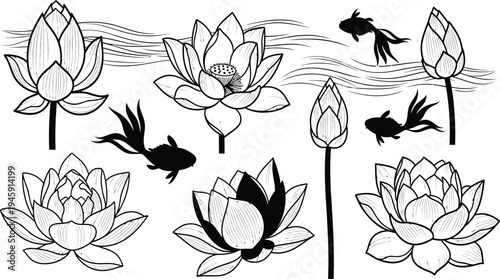 Lotus flower and goldfish illustration set with water waves, aquatic plants, decorative pond nature botanical vector design