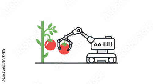 Robot arm picking red tomatoes.