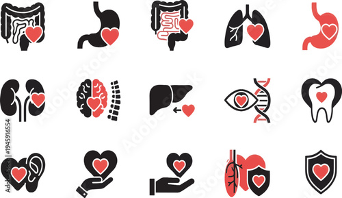 Human Internal Organs Icons Set with Heart Vector Illustration – Anatomy Medical Icons Stomach Liver Lungs Kidneys Brain Eye Tooth Ear DNA Healthy Organs Line Pack