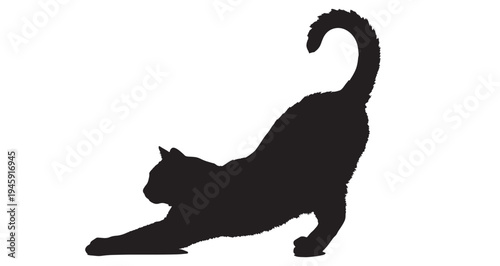 Cat Silhouette vector graphic illustration of a sleek black cat silhouette gracefully stretching its body with an arched back and curled tail, isolated on a clean white background, conveying elegance.