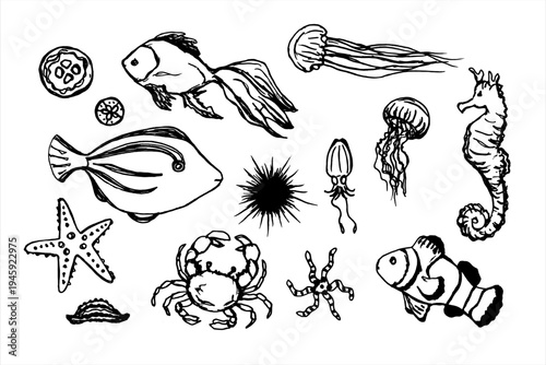 Set of various sketches of sea creatures, including vector illustrations of fish, mezuzahs, and shellfish. Black doodles on a white background. Marine-themed objects.