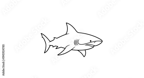 Shark drawing black and white animal.