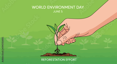 Hand planting small seedling in rich soil, showing reforestation effort. World Environment Day, June 5, highlights global reforestation effort, ecological health. Concept environmental protection,