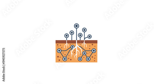 Skin layers anatomy diagram illustration.