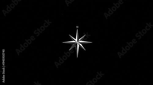 Solitary white compass rose centered on stark black background, north point indicated