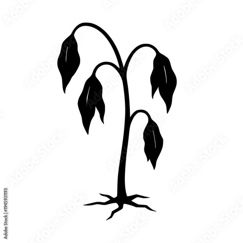Dry dying plant black white icon