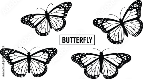 Four black and white silhouette of monarch butterflies with detailed wing patterns and the word butterfly in a central frame