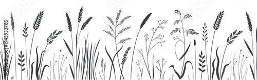 Silhouette of various wild grasses and plants in a horizontal border against a white background