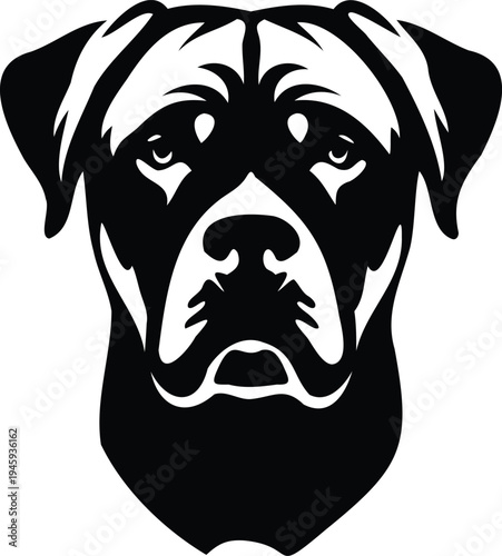 Rottweiler chest up portrait silhouette