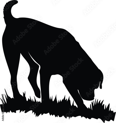 Rottweiler sniffing ground silhouette vector
