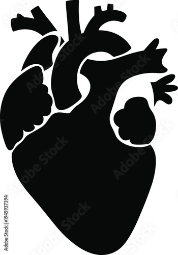 Human anatomical heart silhouette icon for medical health design, internal organ flat vector illustration, cad drawing flat vector illustration