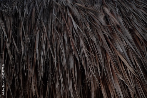 фотографія High-angle close-up of a weathered thatched roof made of dried palm fronds