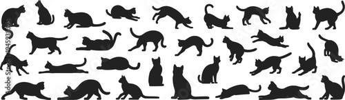 Collection of 36 black cat silhouettes in diverse poses including sitting, standing, walking, running, jumping, stretching, and lying down, feline behavior illustration for design