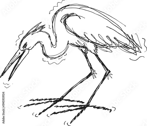 Sketch of a heron bird with long legs and beak standing in water with a minimalist line drawing