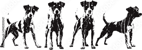 silhouettes of a dog in various standing and sitting poses isolated on white background