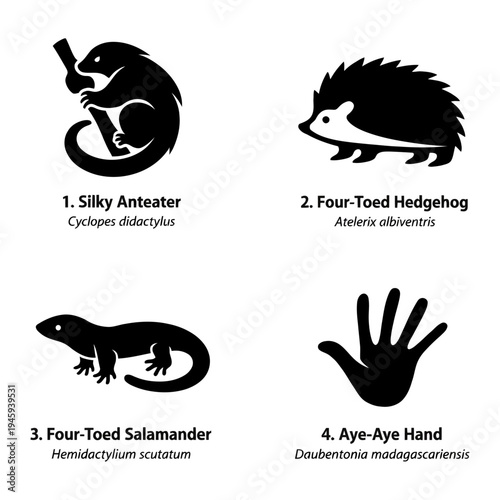 Silhouettes of diverse creatures: A collection of illustrative silhouettes of various animals, showcasing the beauty and diversity of nature's creations.