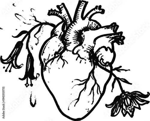 Detailed hand drawn anatomical human heart illustration with floral elements and vascular structures