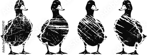 black and white duck silhouettes with textured grunge overlay set, vintage bird illustrations