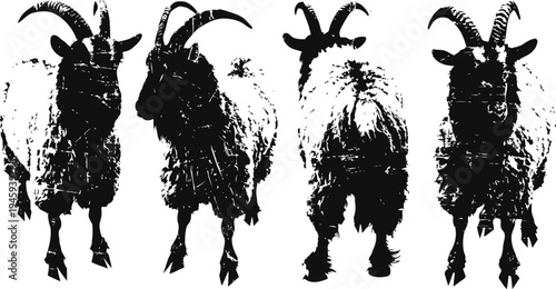 four goats standing in different poses with detailed black and white silhouette effect