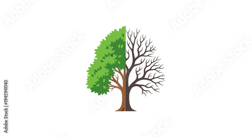 Tree with green and bare branches.