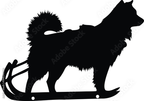 Siberian Husky pulling sled silhouette vector