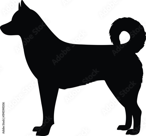 Sleek standing Siberian Husky silhouette icon