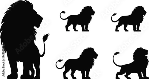Set of black lion silhouettes in various poses including standing and walking positions isolated on white background for wildlife design
