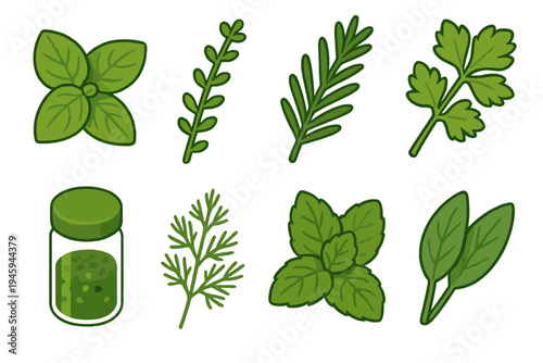 Isometric Herb Icons. Herbs & Seasonings flat icons basil leaves, thyme sprig, rosemary branch, parsley bunch, oregano jar, dill, mint leaves, sage
