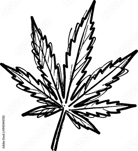 Hand drawn cannabis leaf outline illustration with detailed serrated edges and natural veins