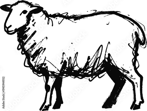 hand drawn sheep illustration in black ink, simple rustic farm animal sketch art