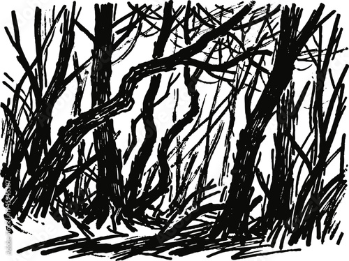 Dense tangled forest with crooked tree trunks and scattered dry branches in black silhouette