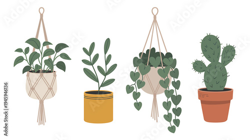 Set of potted plants with macrame hangers and pots on white background