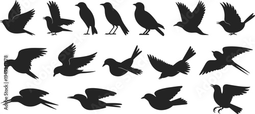 Bird silhouette icons, flying perched standing poses, avian anatomy illustration, black vector design, wildlife symbol, nature concept, educational ornithology graphic