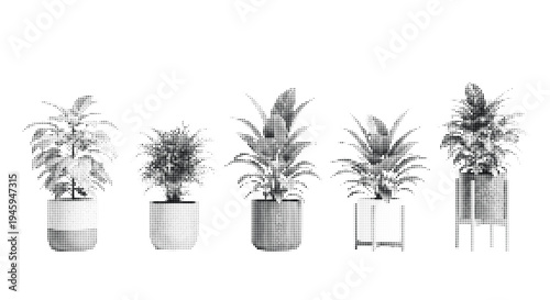 Line- drawn indoor plant pots with varied decorative patterns and plant varieties