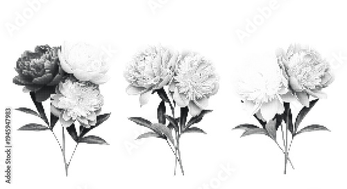 Monochromatic peony floral arrangement stages in three distinct lighting conditions