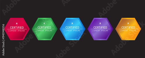 Certificate badge hexagon template vector illustration