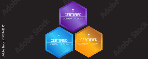 Certificate badge hexagon template vector illustration