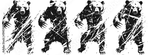 Grizzly bear silhouette with claw marks wild animal aggressive pose illustration