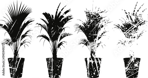 palm plants in pots fading silhouette set indoor tropical foliage decor natural houseplants
